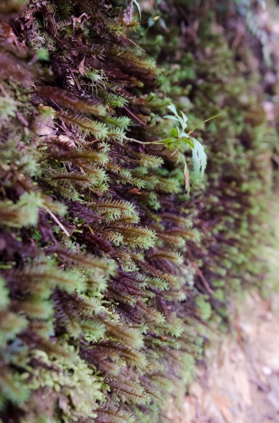 20140627_092809.jpg